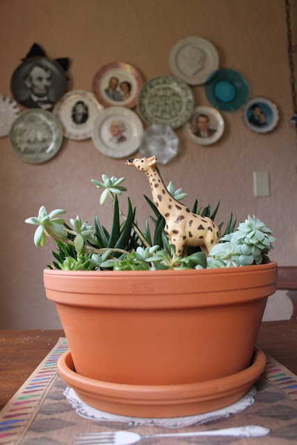 Make it fun- add toys to your succulent gardens