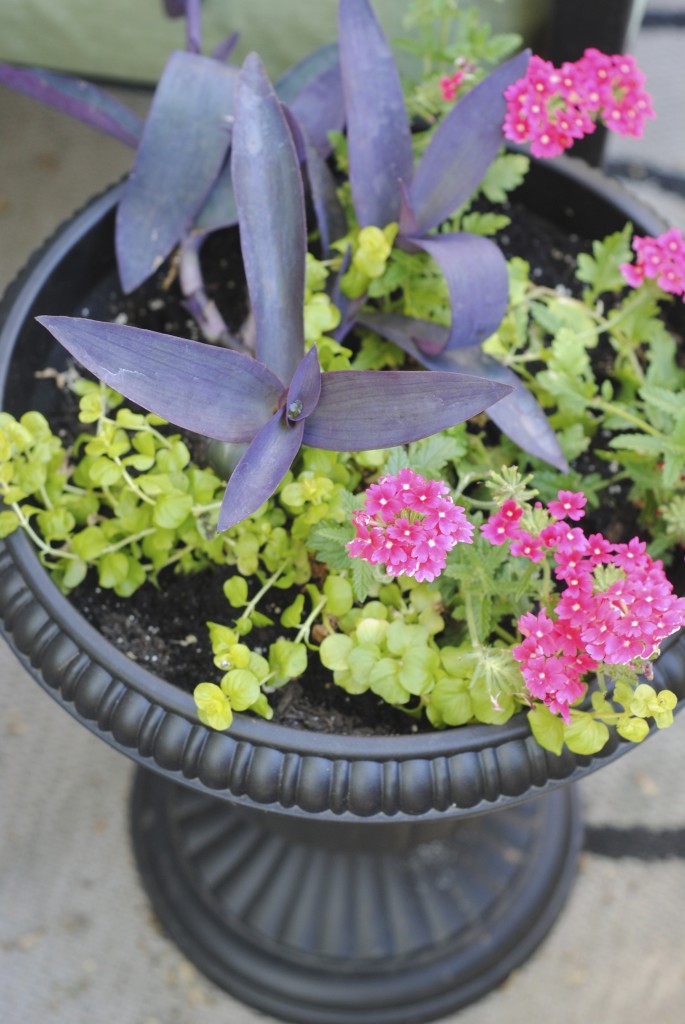 5 Tips for Perfect Planters