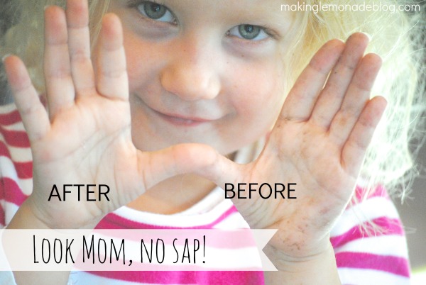 Secret Trick for Removing Sap from Hands in Seconds!