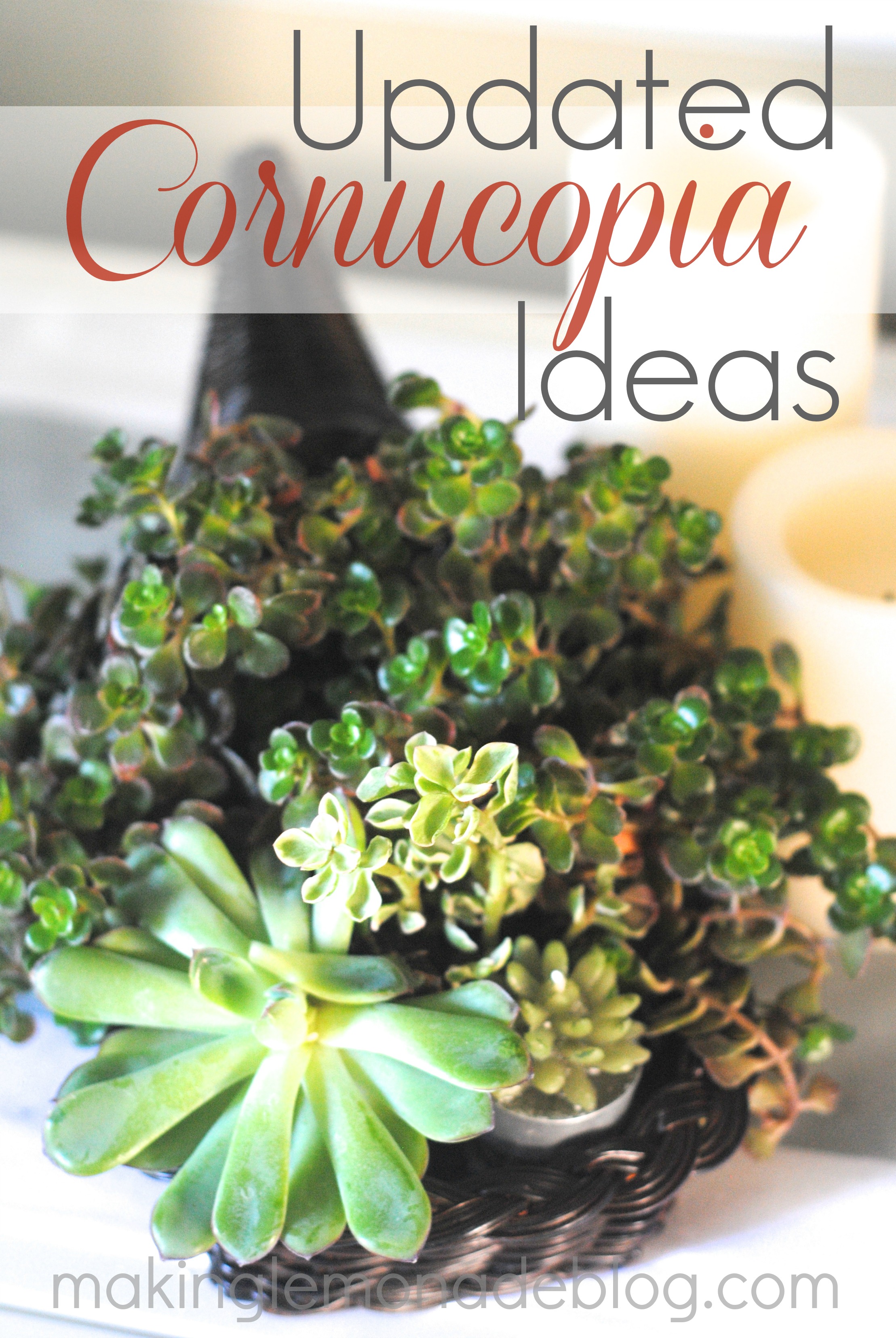 Updated Cornucopia Ideas: succulents and burlap wrapped cornucopias