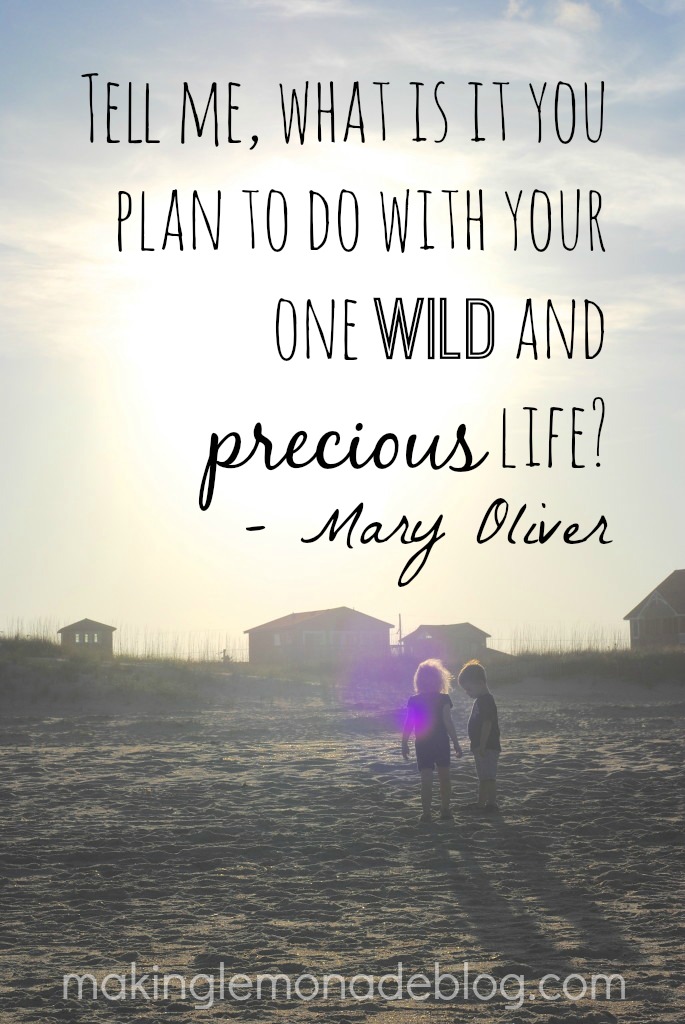 One Wild and Precious Life Quote