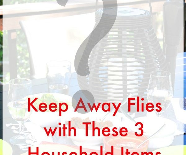 How to Keep Flies Away {with 3 things you have at home!) Making Lemonade