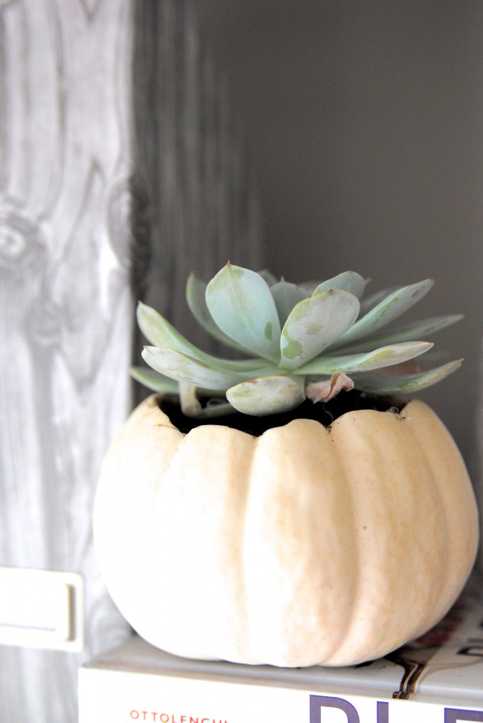5 Minute Fall Decor Idea: succulent pumpkin planters! Fall decor doesn't need to be fussy, make it easy and beautiful with these easy decor ideas!