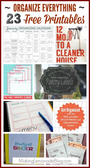 23 Free Printables to Organize Everything - Making Lemonade