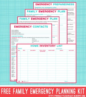 23 Free Printables to Organize Everything - Making Lemonade