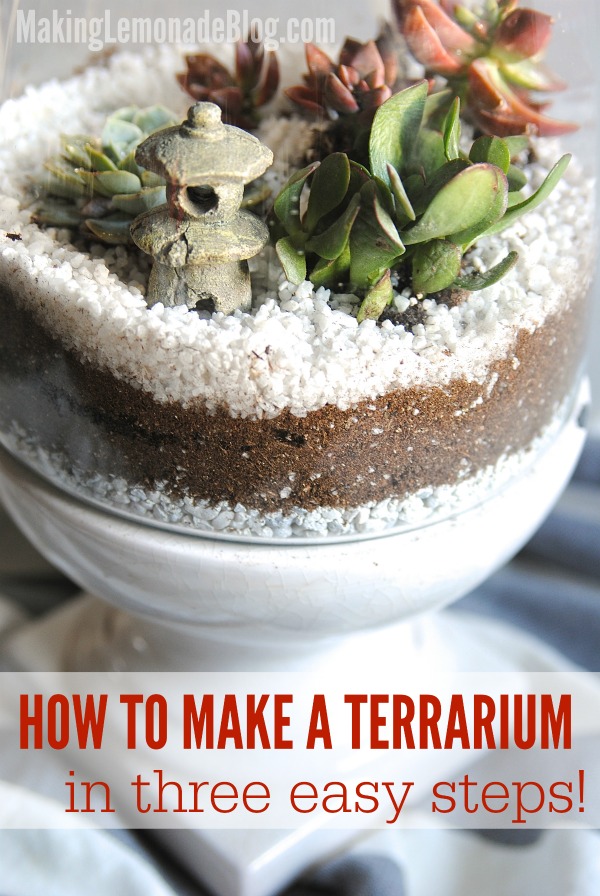 Terrariums and indoor succulent gardens are beautiful and have easy upkeep; check out these 3 quick steps for making them!