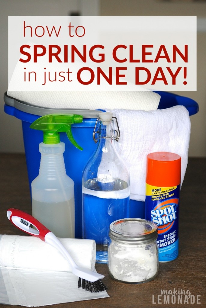 Get Your Spring Cleaning Done In Just ONE Day Making Lemonade