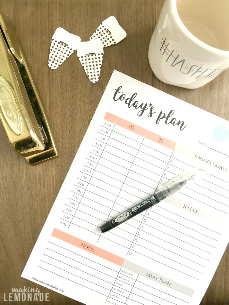 Prints Daily Planner Printable Daily To Do List Daily Hourly Schedule