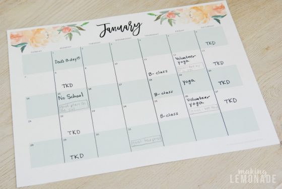 Get Your Free 2018 Printable Planner (with Daily, Weekly &amp; Monthly ...