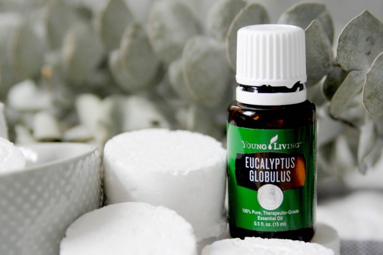 eucalyptus oil with shower steamers
