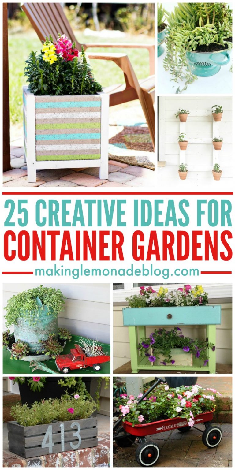 25 Creative Container Garden Ideas - Making Lemonade