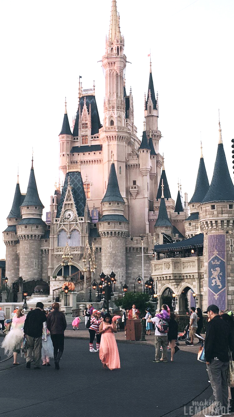 Cinderella's castle at Magic Kingdom