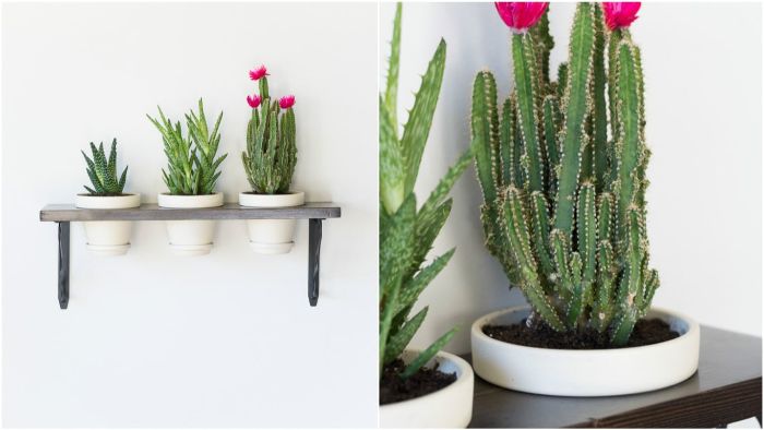 16 Interesting Ways To Decorate With Plants Making Lemonade