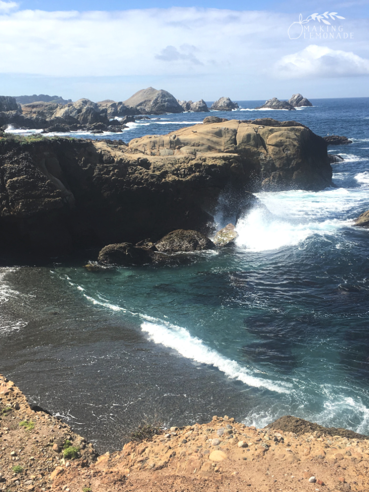 Travel Guide: the ultimate California road trip with kids travel guide! Travel tips for an amazing family vacation on the northern California coast.