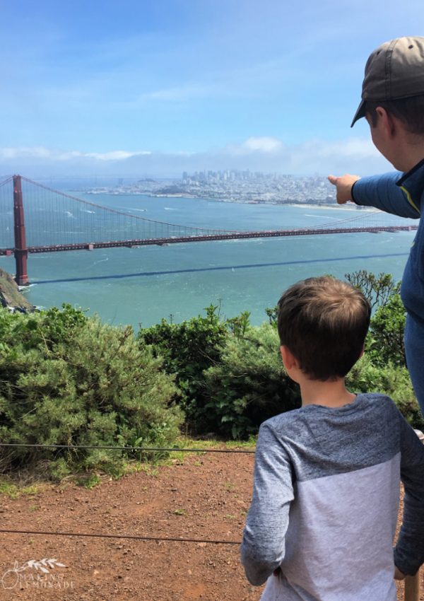 Travel Guide: California Roadtrip with Kids
