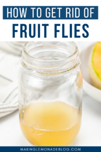 How to Get Rid of Fruit Flies (THE BEST Homemade Fruit Fly Trap ...