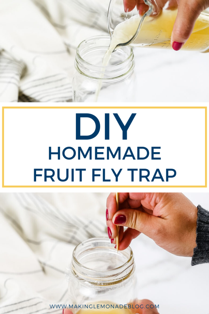 DIY homemade fruit fly trap pin