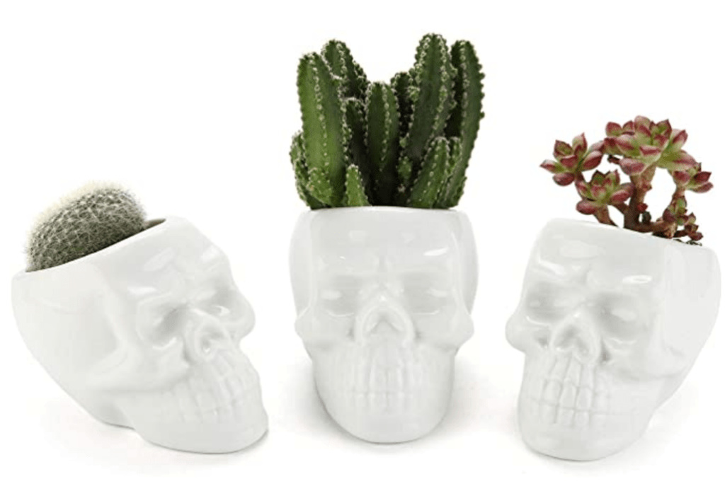 skull planters