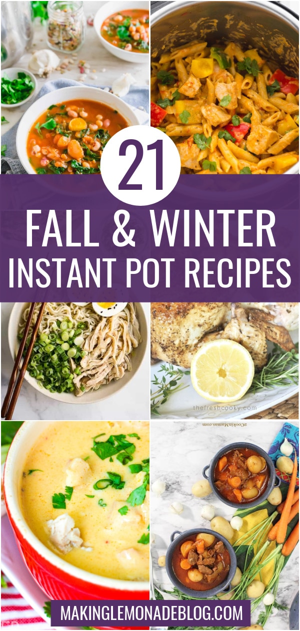Comforting Instant Pot Recipes For Fall and Winter