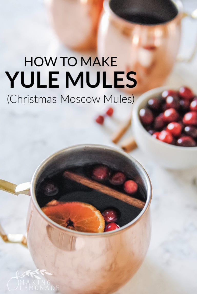 Yule Mule (Christmas Moscow Mule Cocktail Recipe)