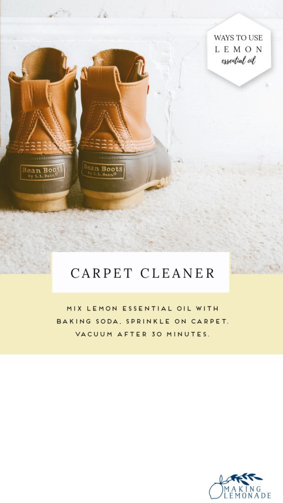 carpet cleaner recipe
