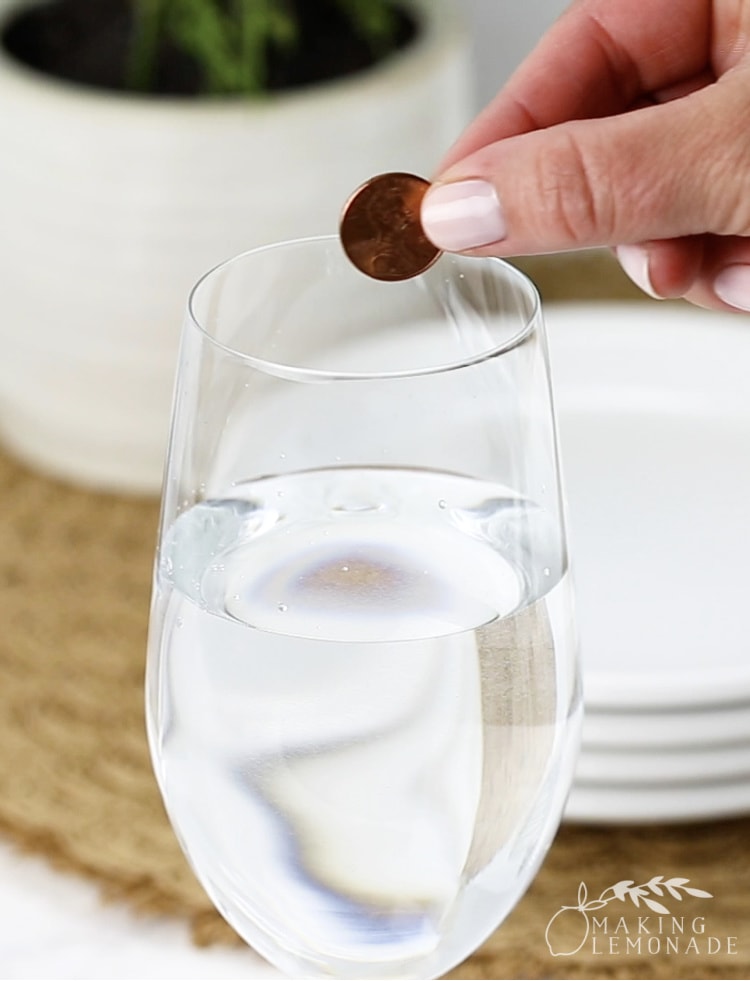 Dropping a penny in a full glass of water to keep flies away