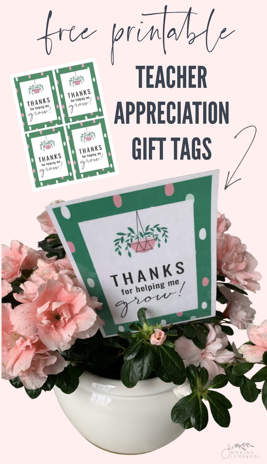 Free Printable Teacher Appreciation Gift Tags