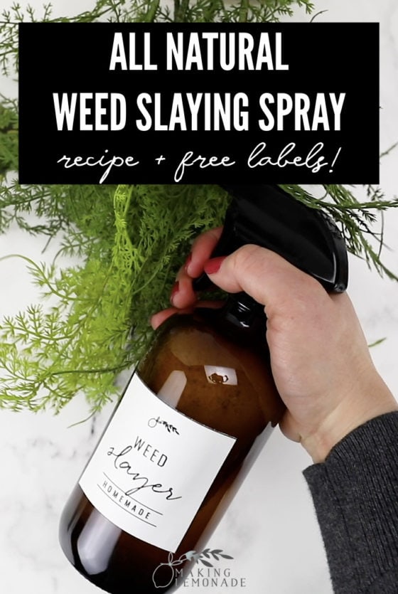 Homemade Vinegar Weed Killer Spray - Making Lemonade