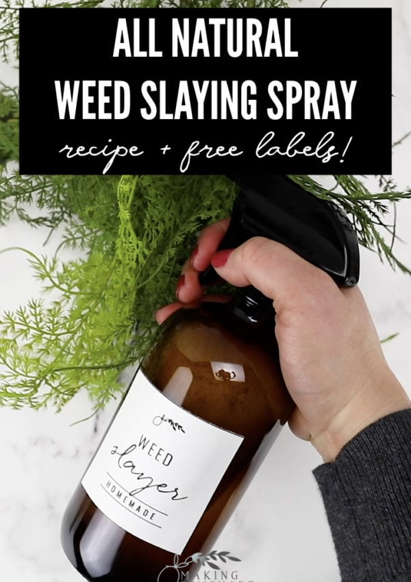 Homemade Vinegar Weed Killer Spray