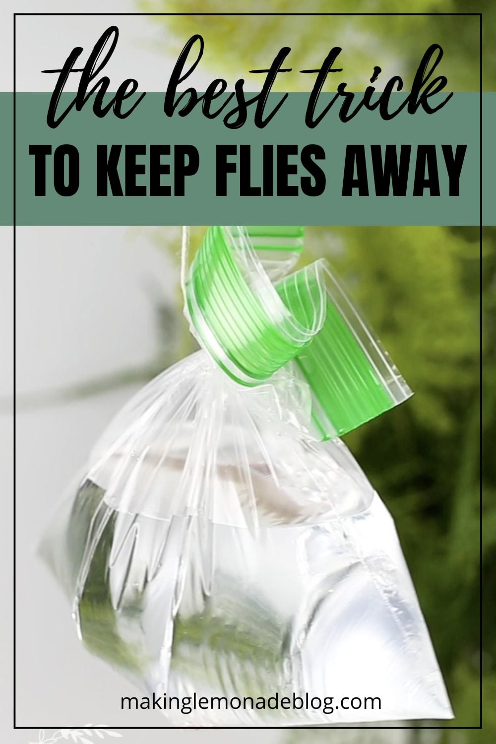 Post Tags Life Hack Tips And Tricks Video 