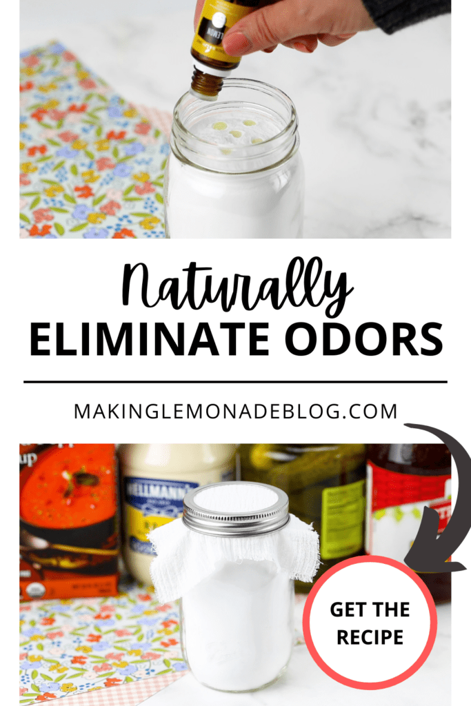 get rid of odors naturally pin