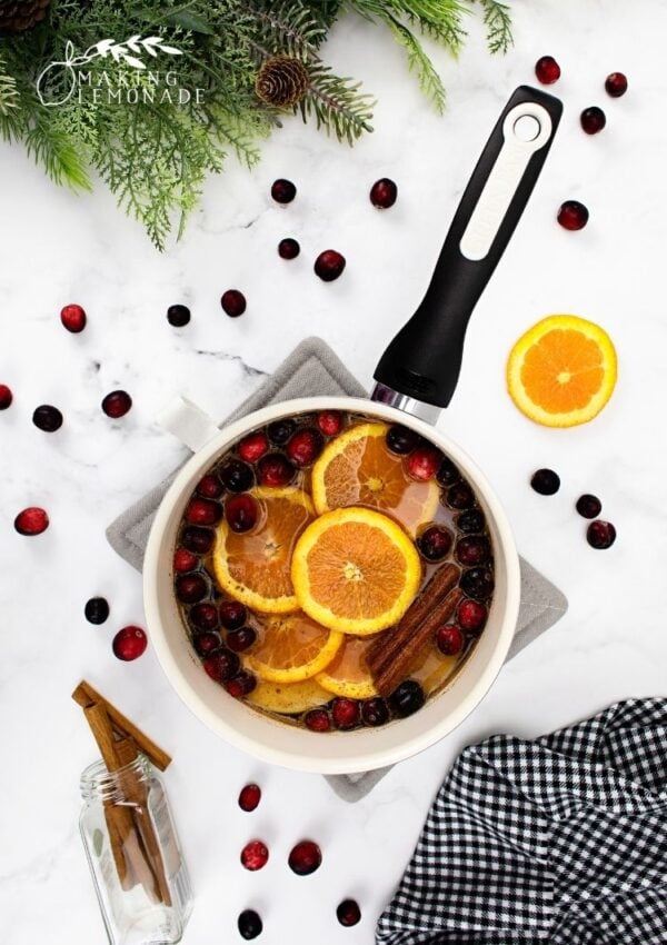 Stovetop Potpourri (Holiday Scented Simmer Pots)