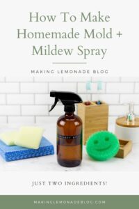 Homemade Mold And Mildew Spray - Making Lemonade