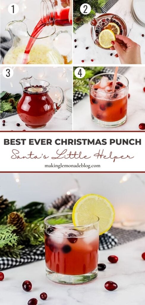 steps for making Christmas punch