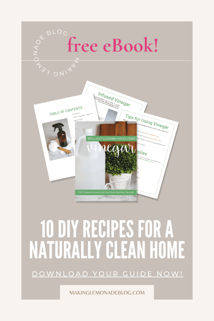 cleaning with vinegar recipes ebook