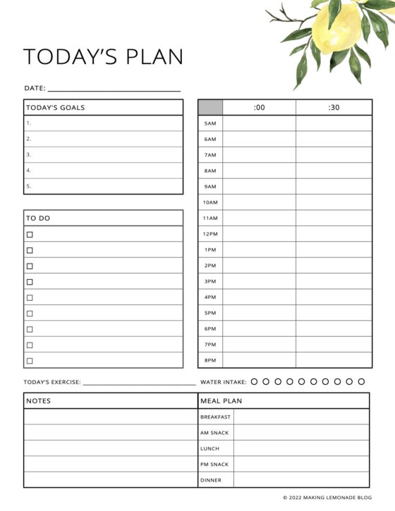 Get a Printable 2022 Planner and Calendar for Free! Making Lemonade