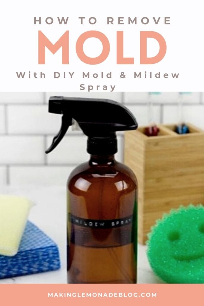 bottle of mold and mildew spray