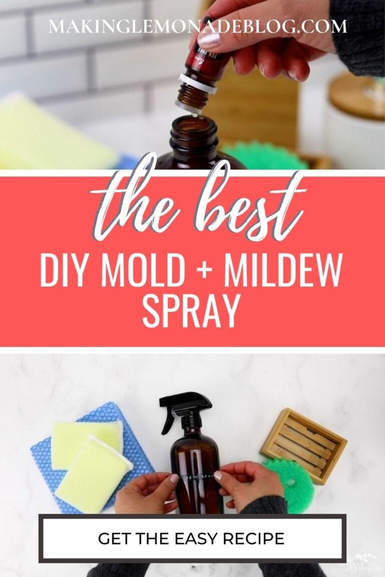 Homemade Mold And Mildew Spray - Making Lemonade