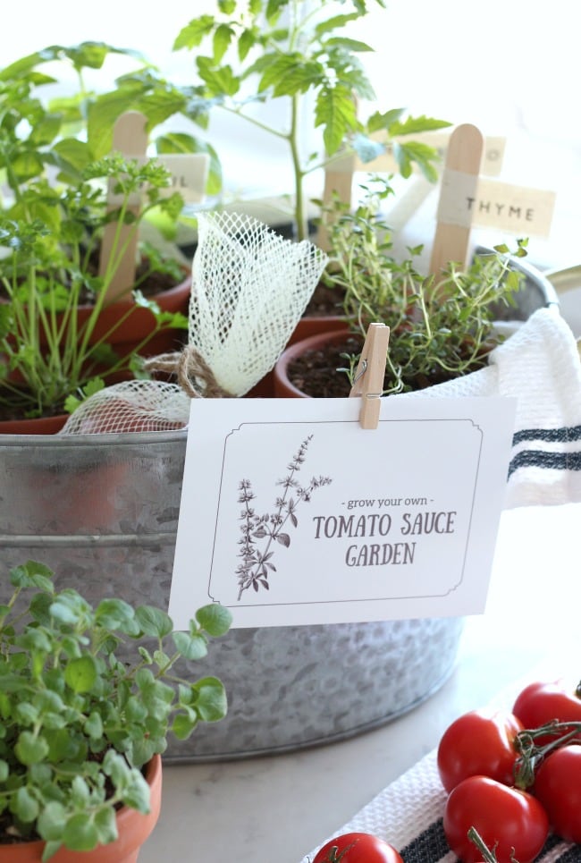 grow your own tomato sauce garden gift basket idea