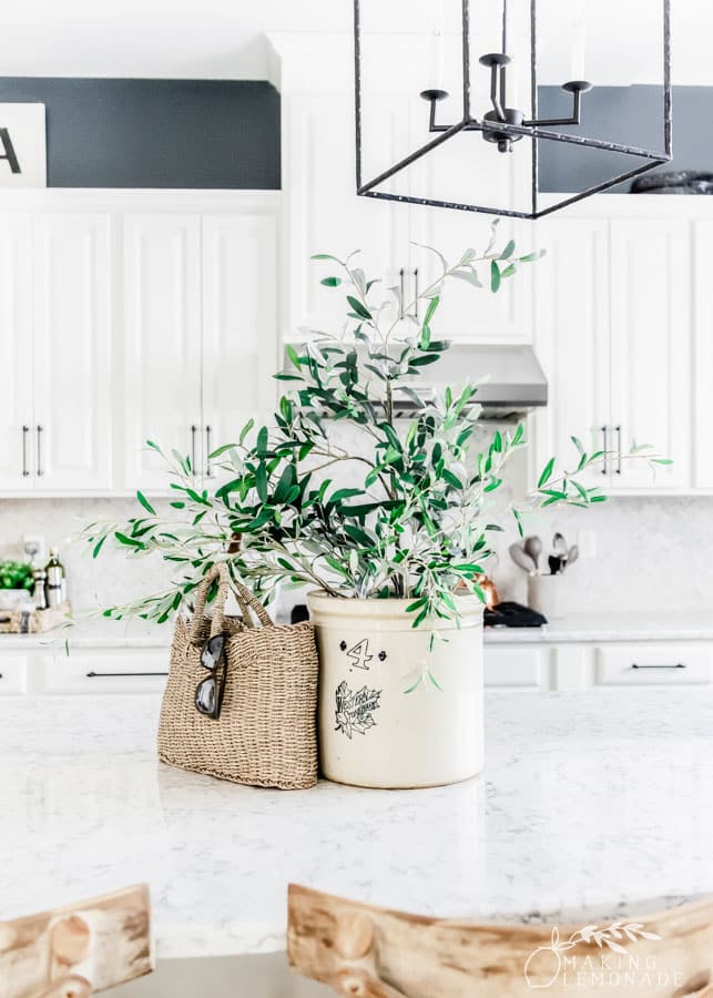 clean and organized kitchen with plant