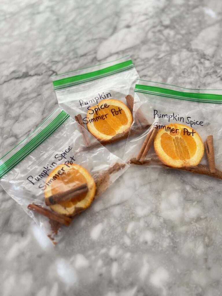 pumpkin spice simmer pot freeze ahead bags