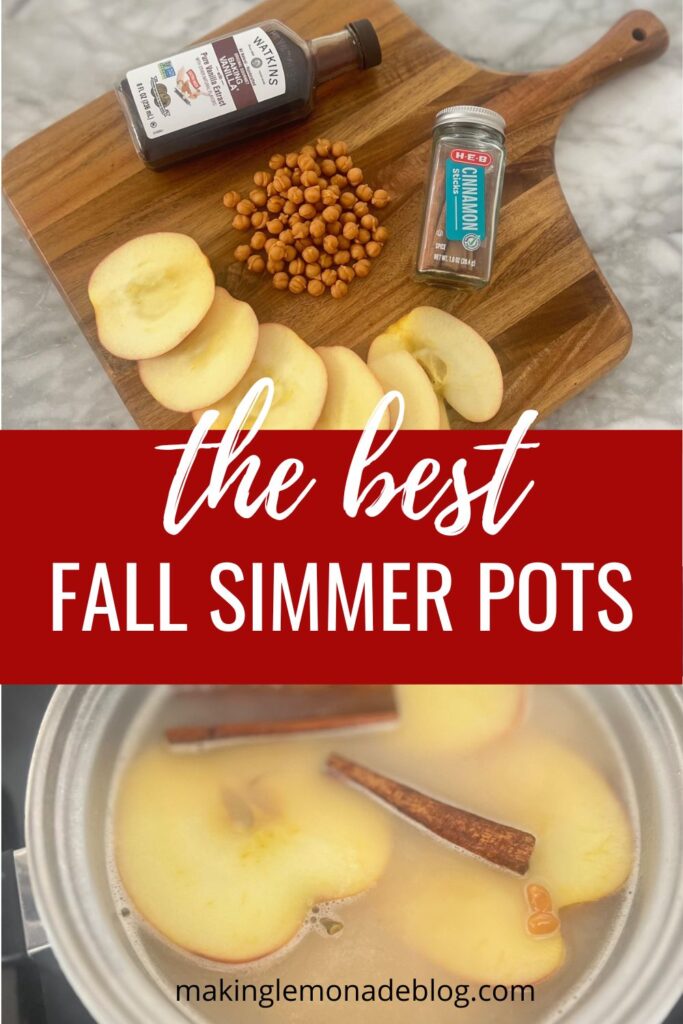 The best fall simmer pots