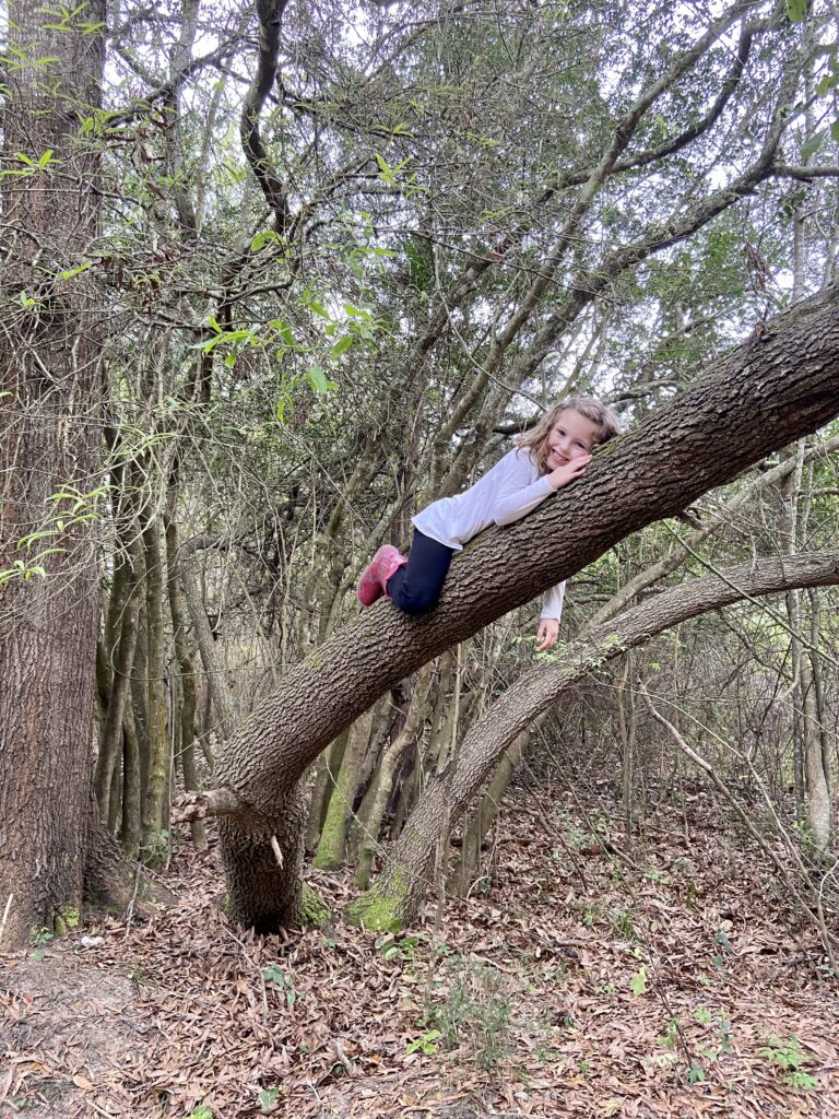 preschooler climbing a tree