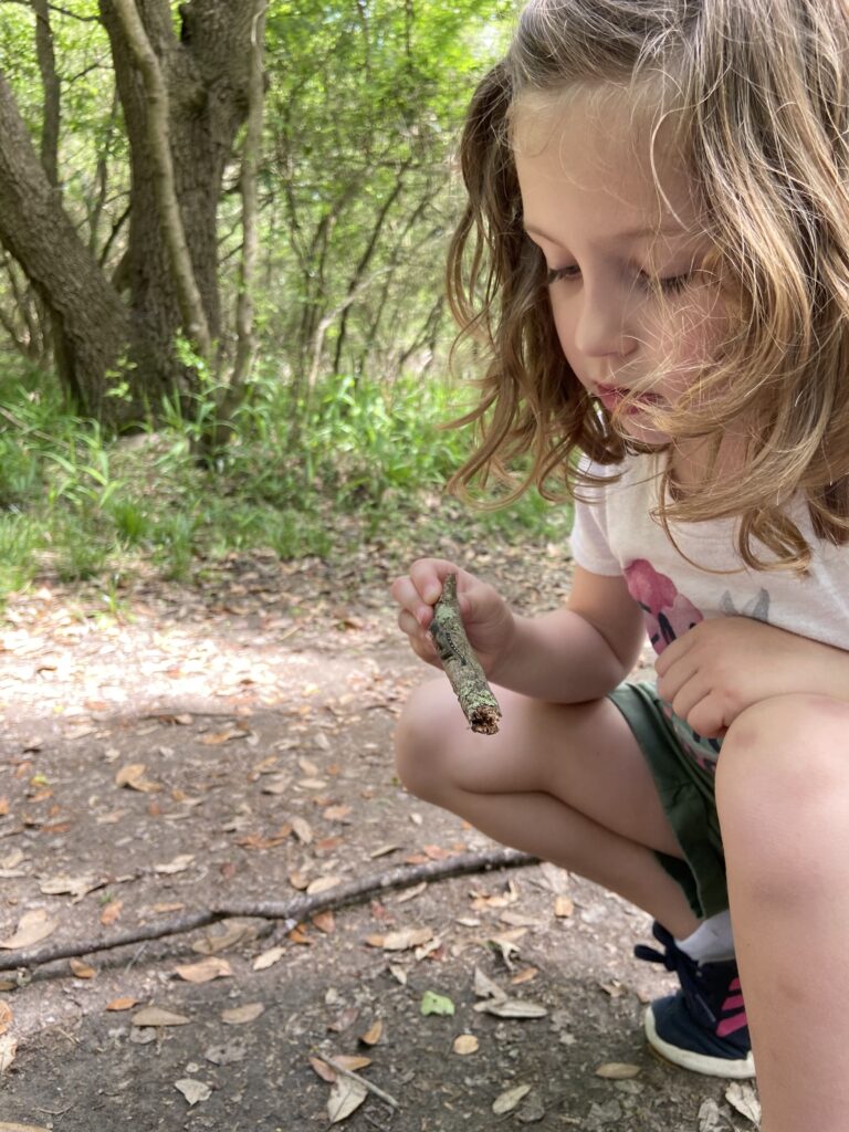 preschooler examining a caterpillar on a stick