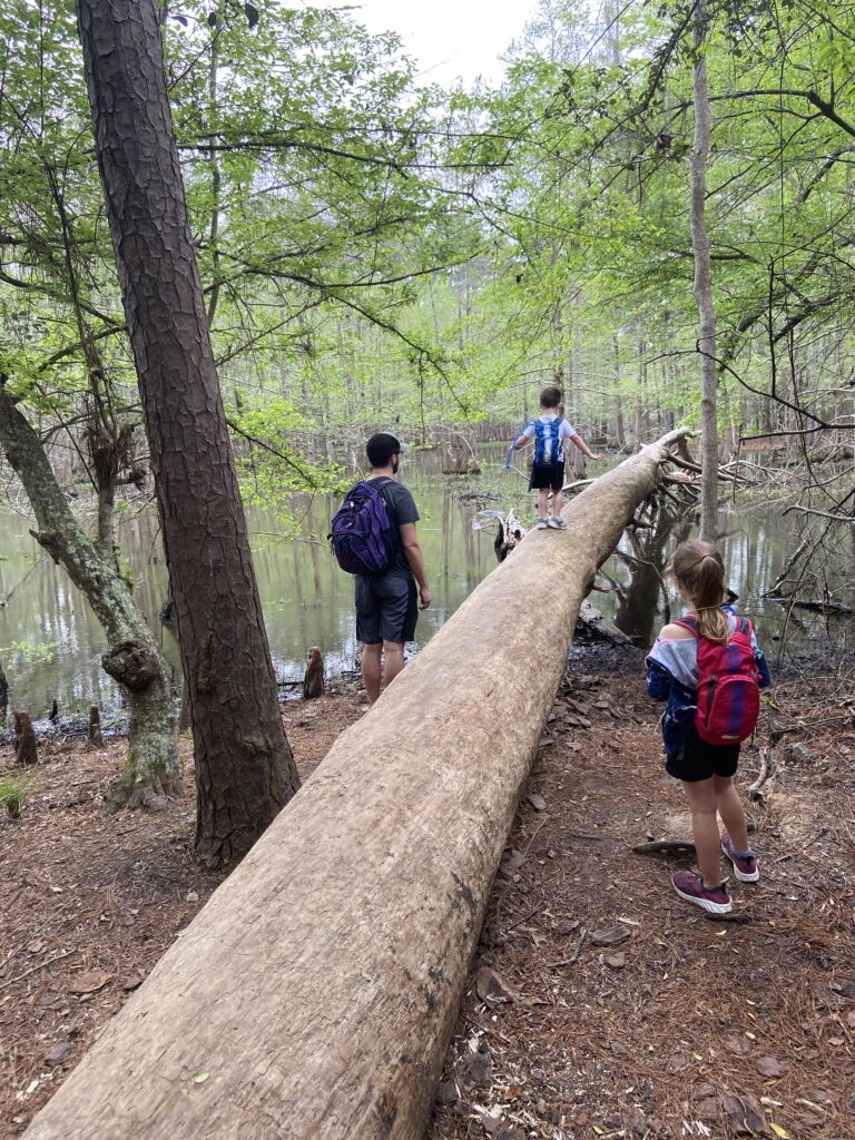 toddler balancing on a downed tree in nature